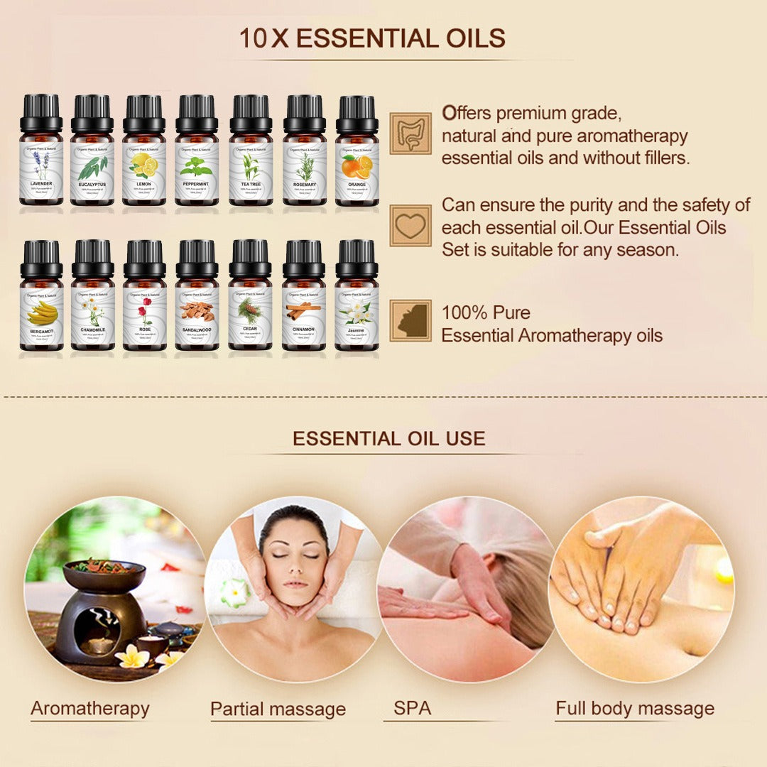 Essential Oil Box Set - 14 Piece