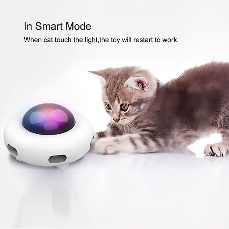 Electric Cat Feather Teaser & Floor Cleaner