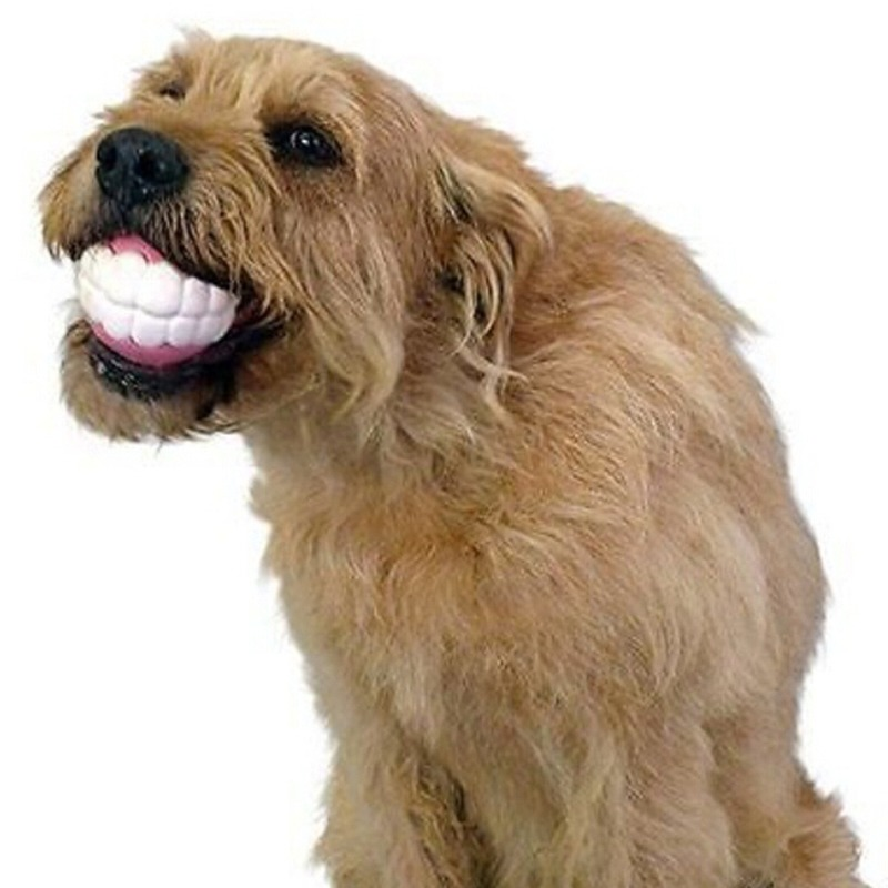 Big Smile Dog Ball