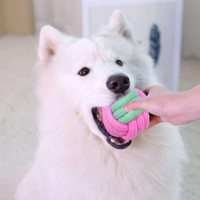 Lady Pink Chew Toys
