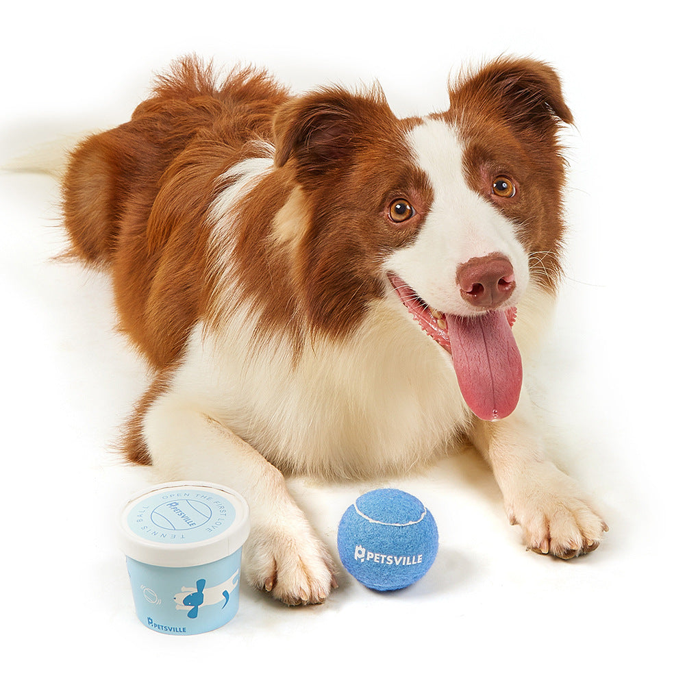 Petsville Tennis Ball Dog Toys