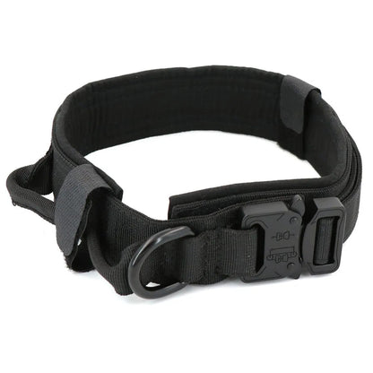 Collar de perro táctico