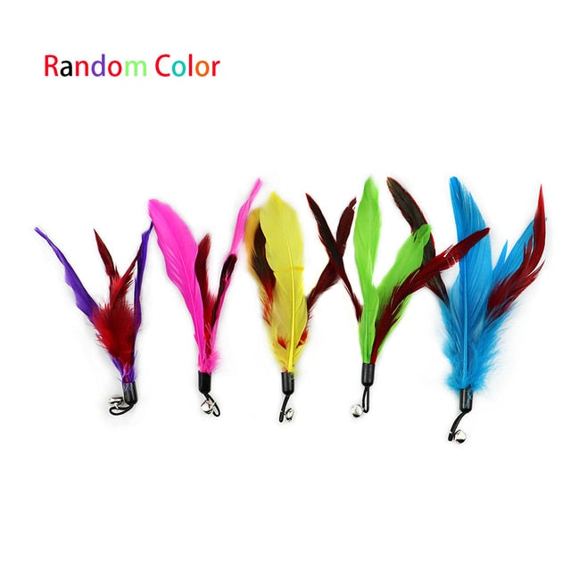 Juguetes para gatos: pluma y pelota interactivas