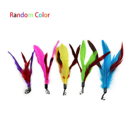 Juguetes para gatos: pluma y pelota interactivas