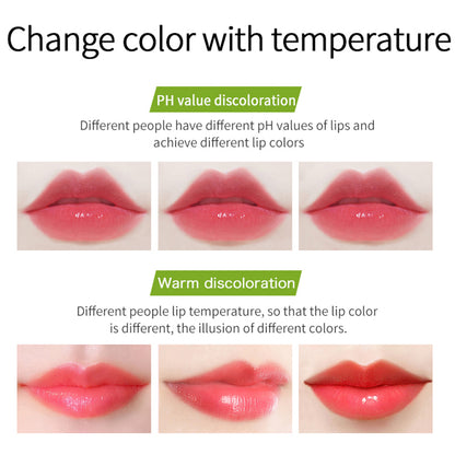 Aloe Vera Lipstick by Vibely