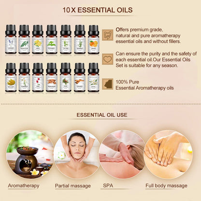 Essential Oil Box Set - 14 Piece