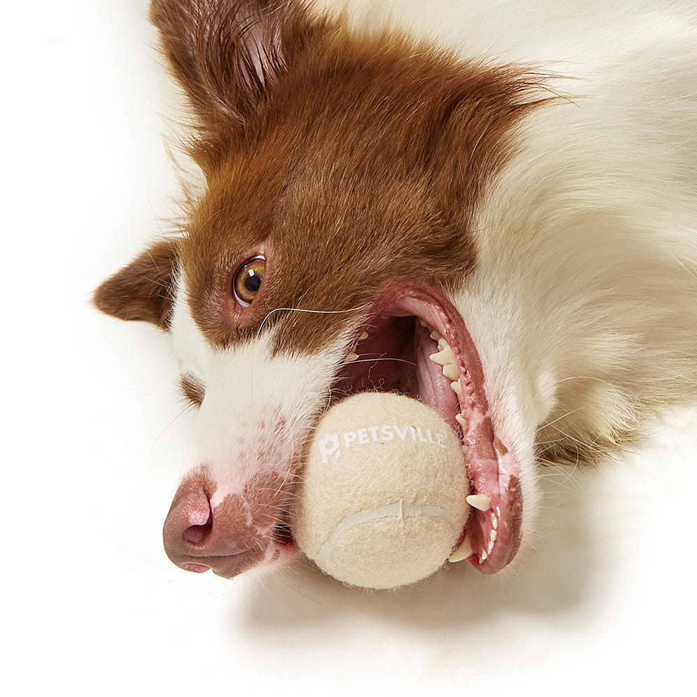 Petsville Tennis Ball Dog Toys