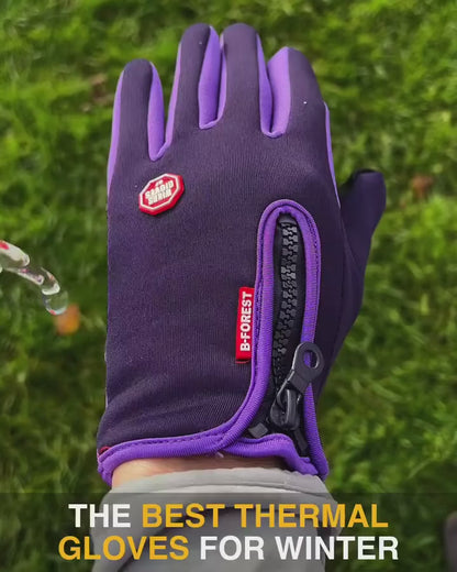 2024 Ultimate Waterproof & Phone Touch Winter Gloves