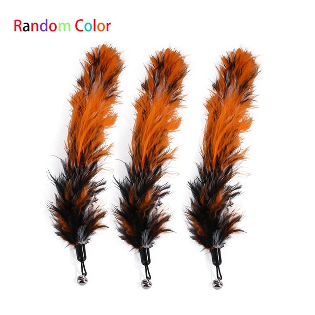 Juguetes para gatos: pluma y pelota interactivas