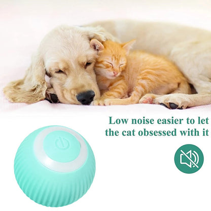 Electric Smart Ball - Dog Toys