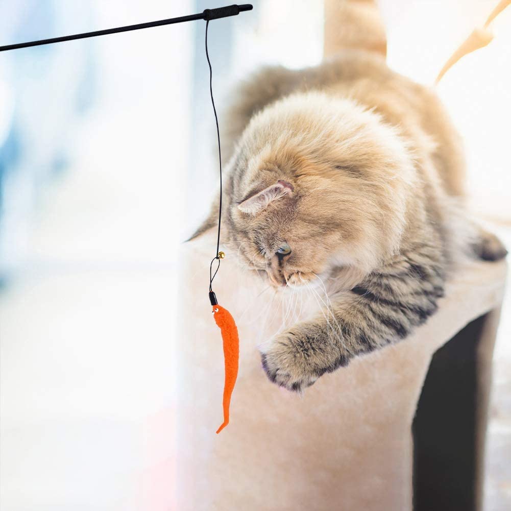 Juguetes para gatos: pluma y pelota interactivas