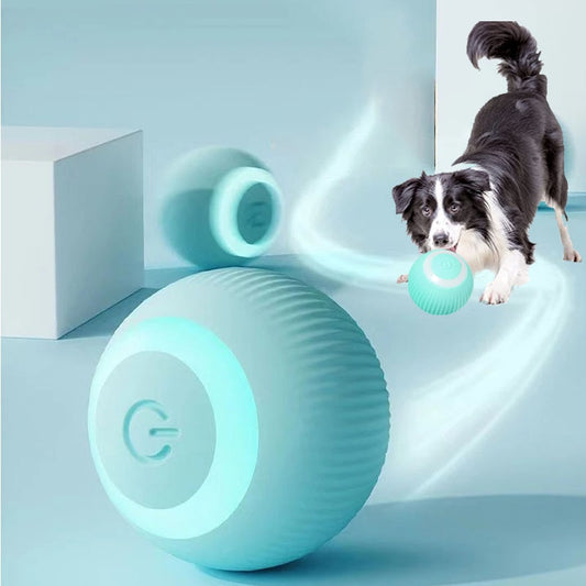 Electric Smart Ball - Dog Toys