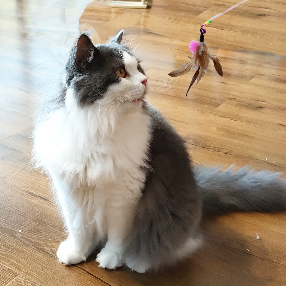 Juguetes para gatos: pluma y pelota interactivas