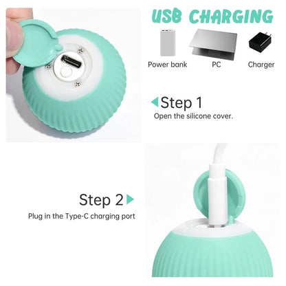 Electric Smart Ball - Dog Toys