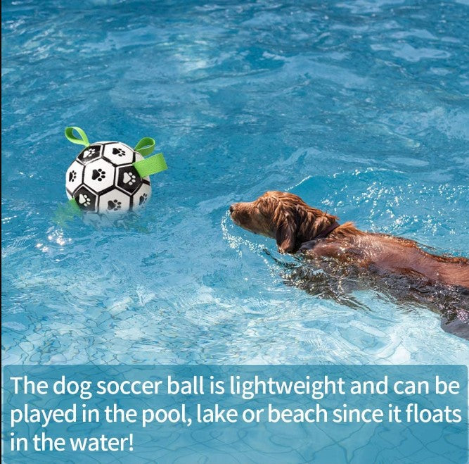 Interactive Pet Football - Dog Toys